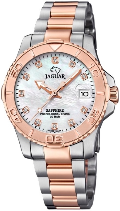 Obrázek Jaguar Executive Diver