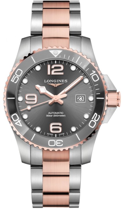 Obrázek Longines HydroConquest