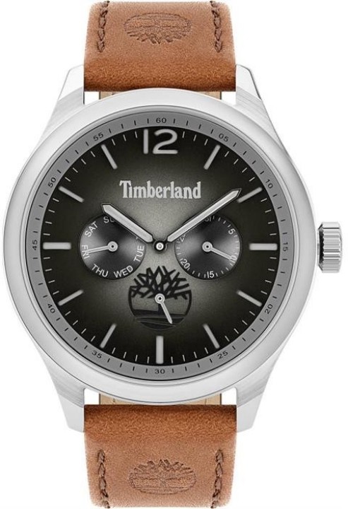 Obrázek Timberland Saugus