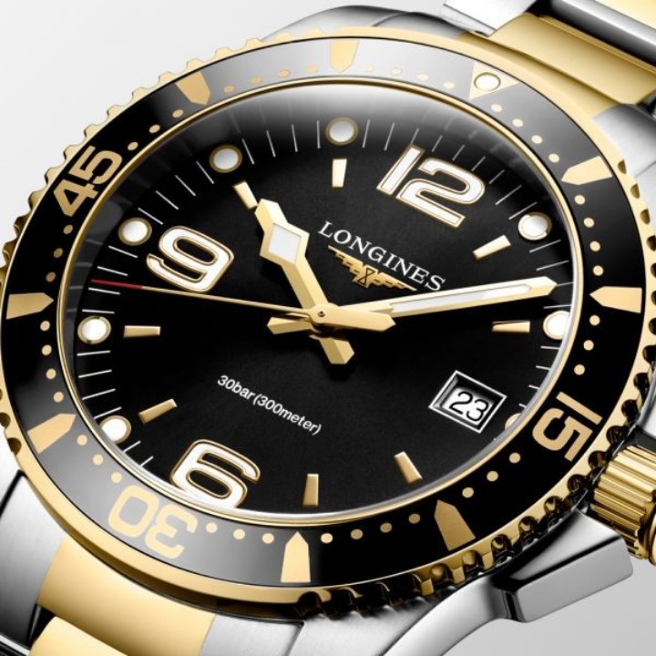 Obrázek Longines HydroConquest