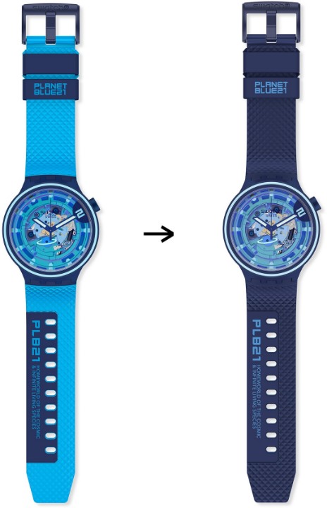 Obrázek Swatch Second Home