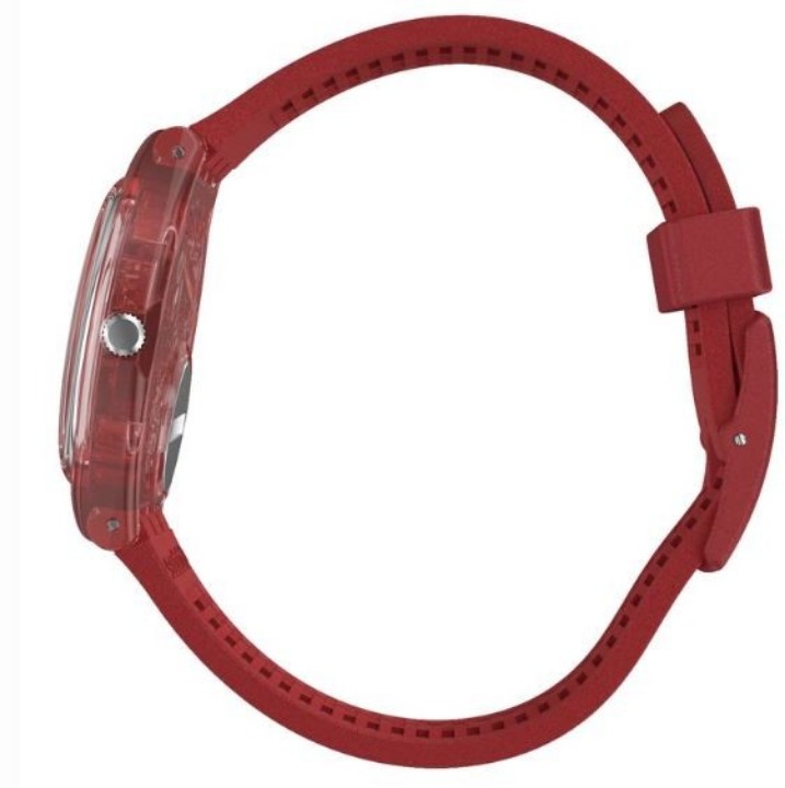 Obrázek Swatch Ruberalda