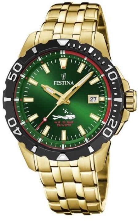 Obrázek Festina The Originals Diver