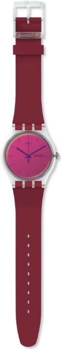 Obrázek Swatch Polared