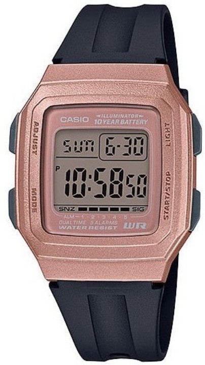 Obrázek Casio Vintage