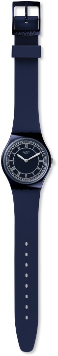 Obrázek Swatch Blue Ben