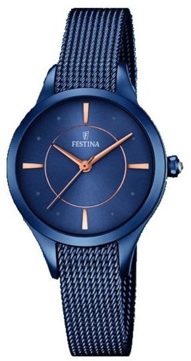 Obrázek Festina