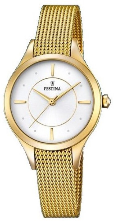 Obrázek Festina