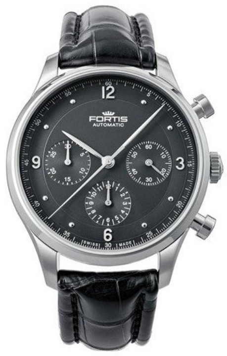 Obrázek Fortis Terrestis Tycoon
