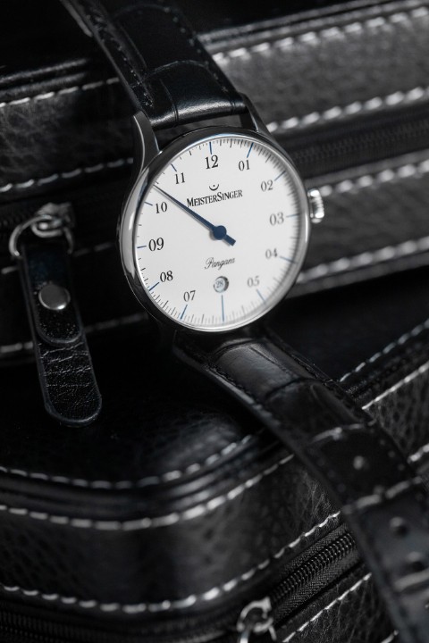 Obrázek MeisterSinger Pangaea Date