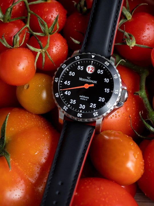 Obrázek MeisterSinger Salthora Meta X