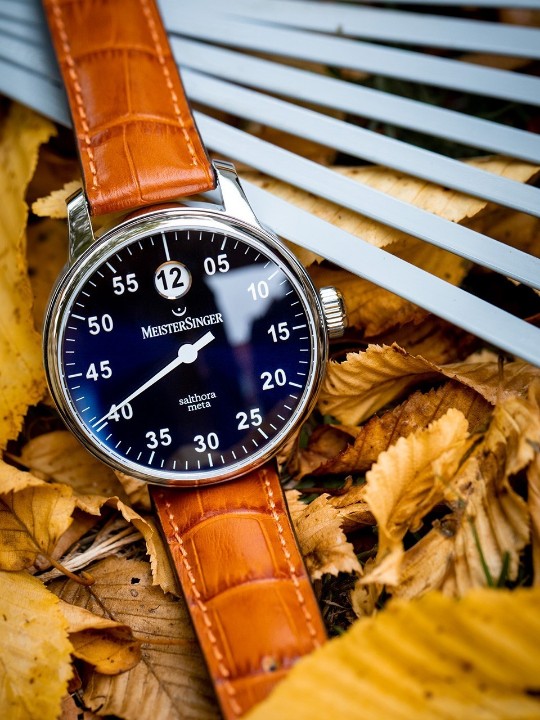 Obrázek MeisterSinger Salthora Meta