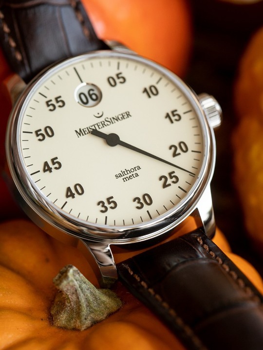 Obrázek MeisterSinger Salthora Meta
