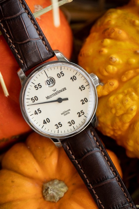 Obrázek MeisterSinger Salthora Meta