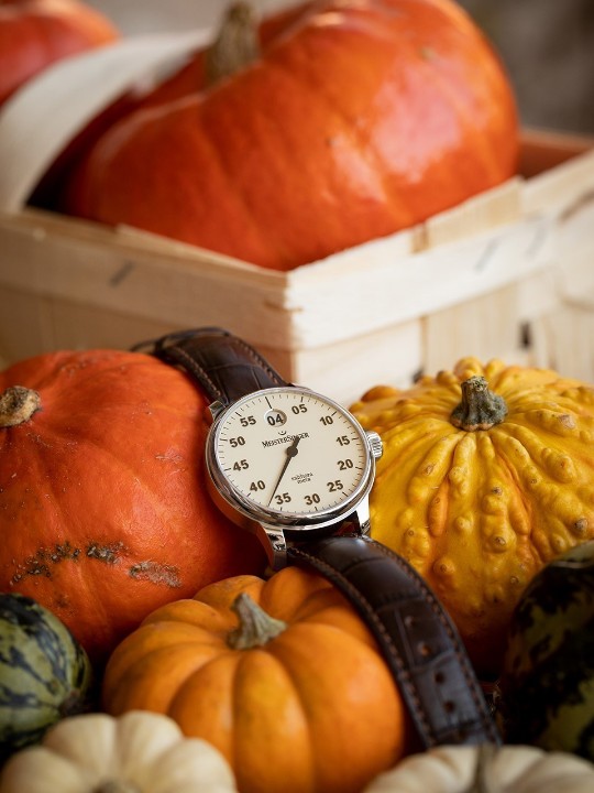 Obrázek MeisterSinger Salthora Meta