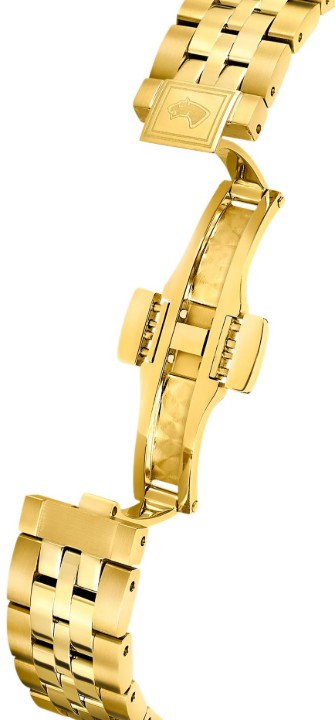 Obrázek Jaguar Automatic CŒUR