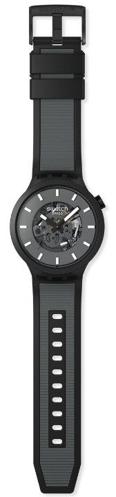 Obrázek Swatch Past the Horizon