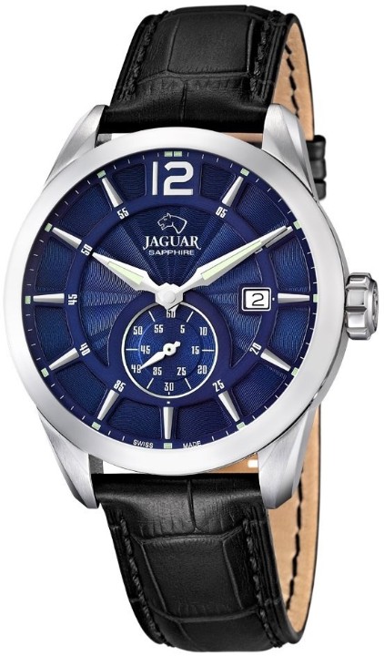 Obrázek Jaguar Acamar