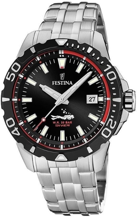 Obrázek Festina The Originals