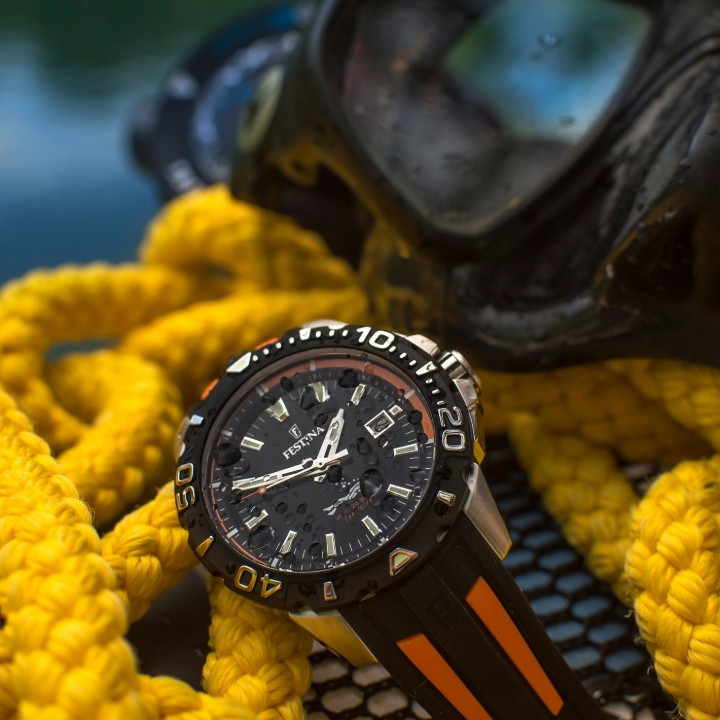 Obrázek Festina The Originals Diver