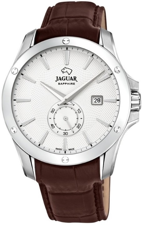 Obrázek Jaguar Acamar