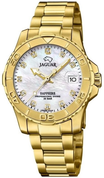 Obrázek Jaguar Executive Diver