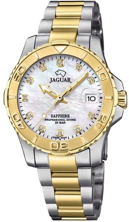 Obrázek Jaguar Executive Diver