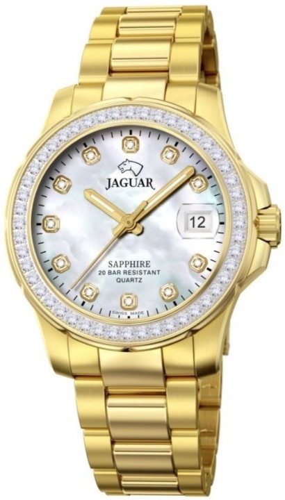 Obrázek Jaguar Executive Diver