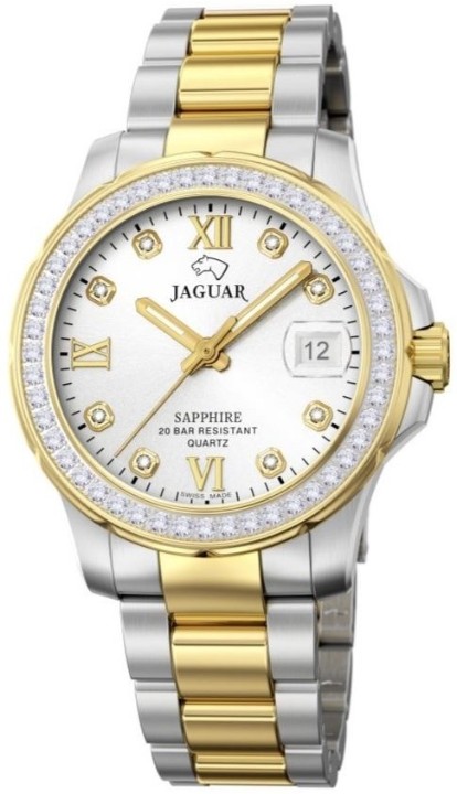 Obrázek Jaguar Executive Diver