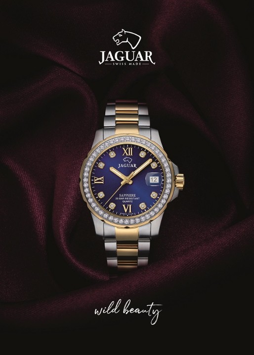 Obrázek Jaguar Executive Diver