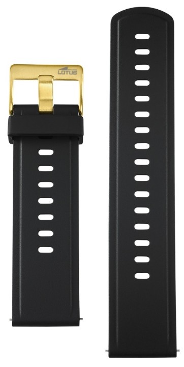 Obrázek Lotus SmarTime