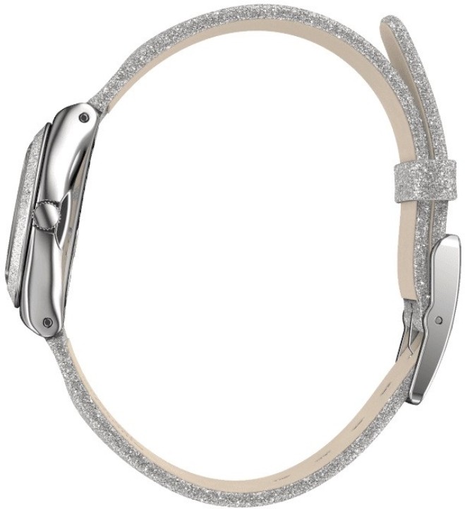 Obrázek Swatch Sideral Grey