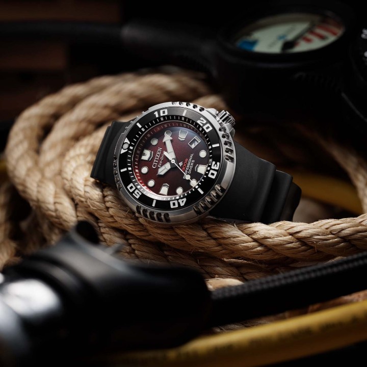 Obrázek Citizen Promaster Professional Diver Solar