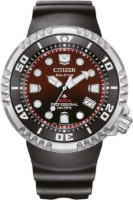 Zobrazit detail produktu - Citizen Promaster Professional Diver Solar Obrázek Citizen Promaster Professional Diver Solar