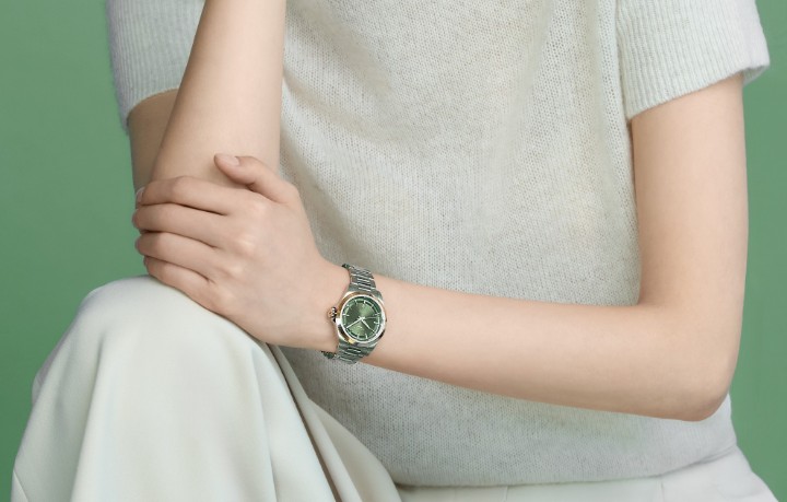 Obrázek Longines Conquest