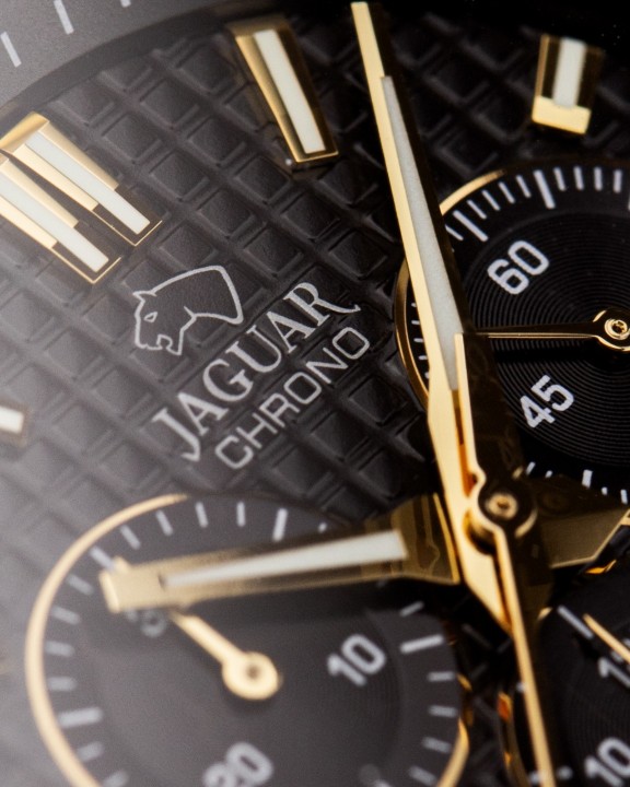 Obrázek Jaguar Diplomatic