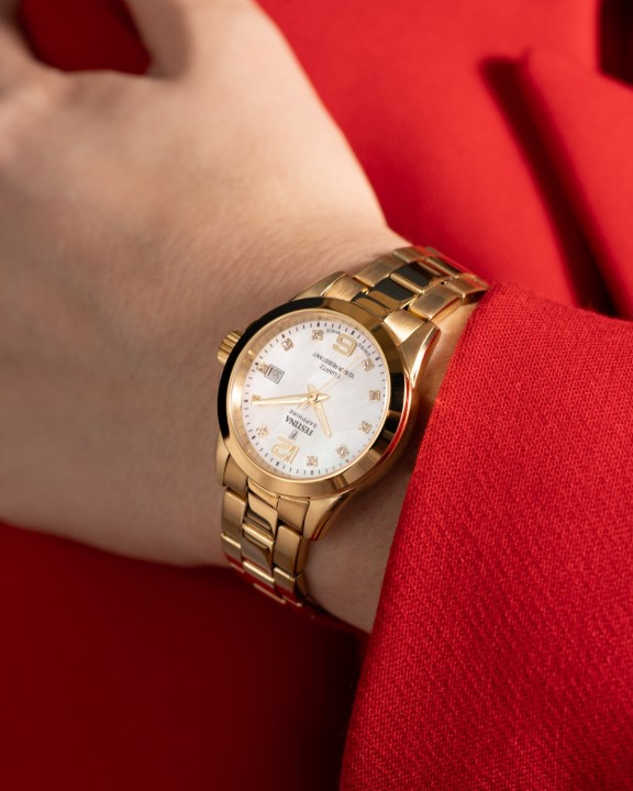 Obrázek Festina Swiss Made