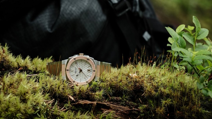 Obrázek Alpina Alpiner Extreme Quartz