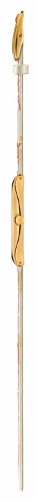 Obrázek Swatch Golden Red Bamboo