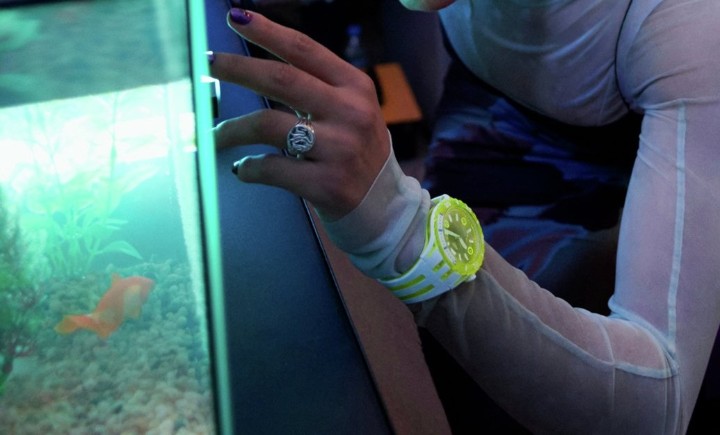 Obrázek Swatch Egg Yolk