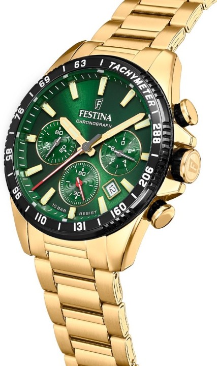 Obrázek Festina Timeless Chronograph