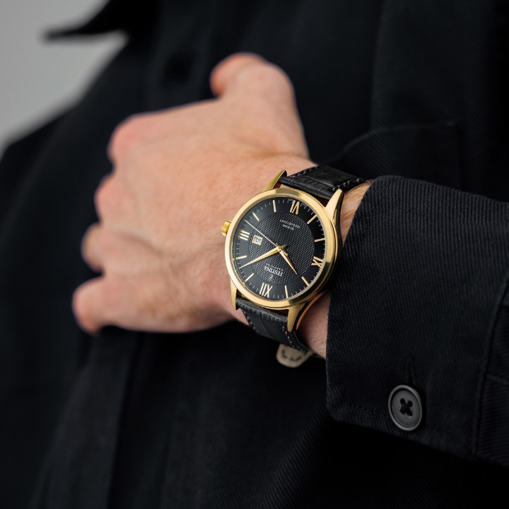 Obrázek Festina Swiss Made
