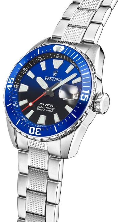 Obrázek Festina The Originals