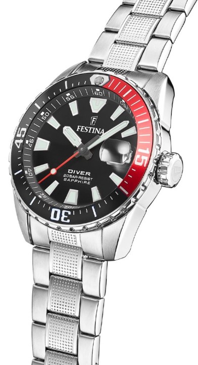 Obrázek Festina The Originals