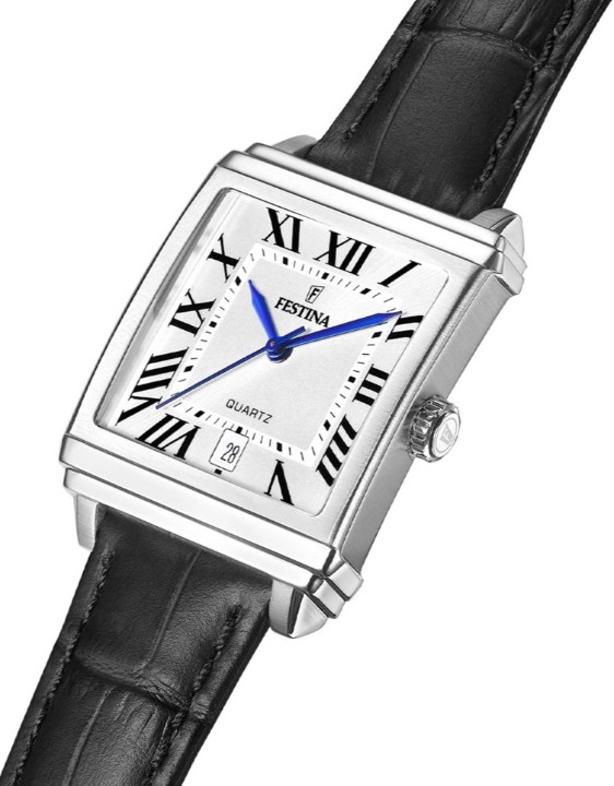 Obrázek Festina Classics