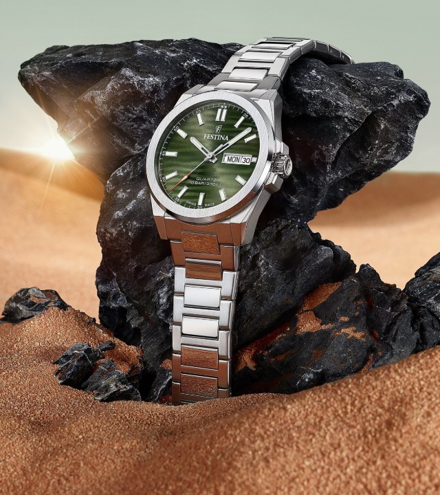 Obrázek Festina Swiss Made Dune