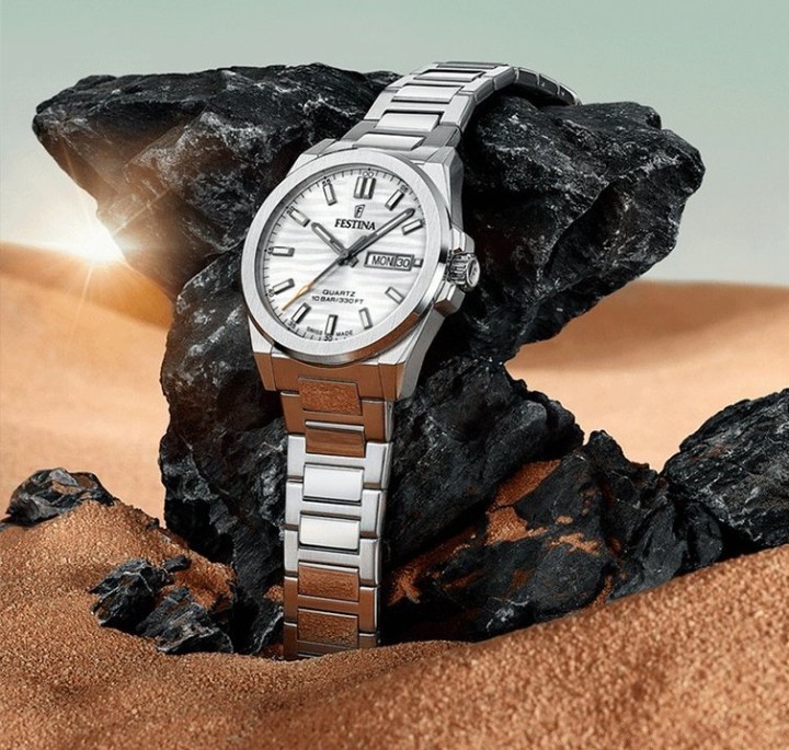 Obrázek Festina Swiss Made Dune