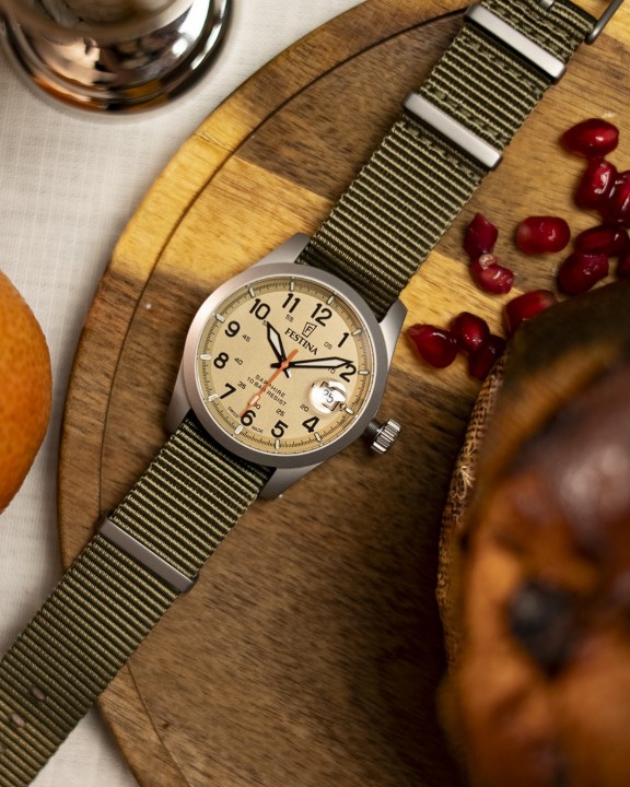 Obrázek Festina Swiss Made Field Watch