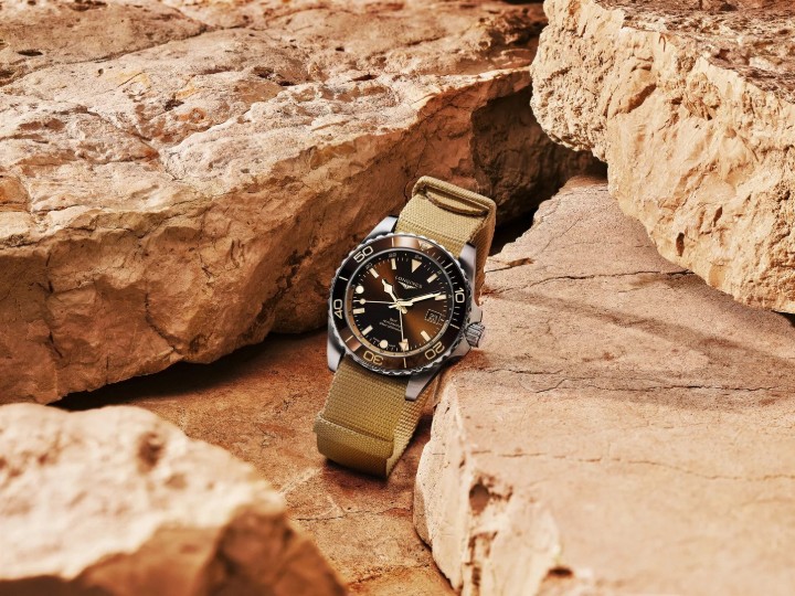 Obrázek Longines Hydroconquest GMT