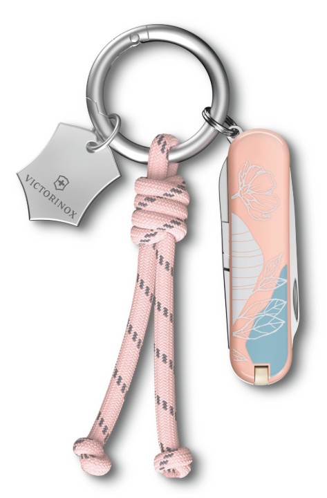 Obrázek Kapesní nůž Victorinox Classic SD Paris Style